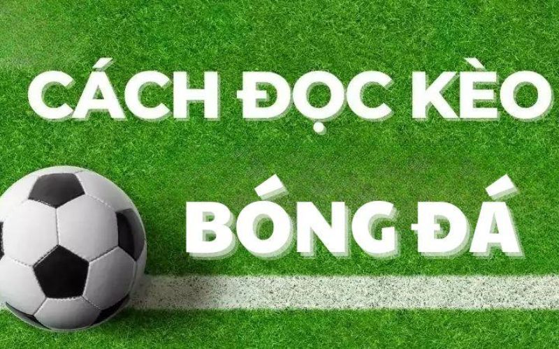 Cách tính tiền thắng thua trong kèo Châu Âu